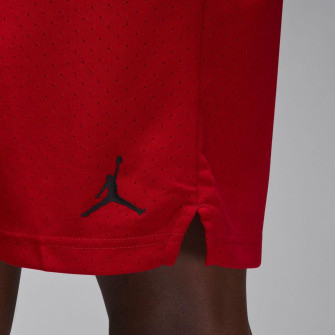 Air Jordan Sport Mesh Shorts ''Gym Red''