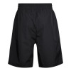 New Era NBA Chicago Bulls Established Date Shorts ''Black''