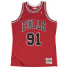 M&N Swingman Jersey Dennis Rodman 91