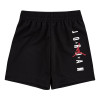 Air Jordan Vert Mesh Shorts ''Black''