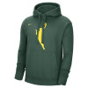 Nike WNBA Logo Fleece Hoodie ''Green''