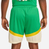 Nike Dri-FIT Icon Edition Shorts ''Stadium Green''