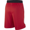 Nike Dri-FIT Swoosh Basketball Shorts ''Red''