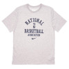 Nike Dri-FIT NBA Team 31 T-Shirt ''DK Grey Heather''