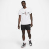 Air Jordan Brand Holiday T-Shirt ''White''