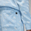Air Jordan Essentials Graphic Fleece Pants ''Ice Blue''