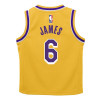 Nike NBA LA Lakers Icon Edition Box Jersey & Shorts Kids Set ''Lebron James''