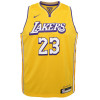 Nike Los Angeles Lakers Lebron James City Edition Jersey ''Amarillo''