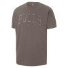 Nike NBA Chicago Bulls Courtside T-Shirt ''Olive Grey'' 