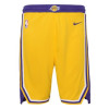 Nike NBA Icon Swingman Los Angeles Lakers Kids Shorts ''Amarillo''