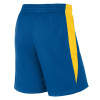 Nike Team Basketball Stock Shorts ''Royal Blue''