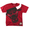 M&N NBA Chicago Bulls T-Shirt ''Red''