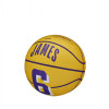 Wilson NBA Player Icon Mini Basketball ''LeBron James'' (3)